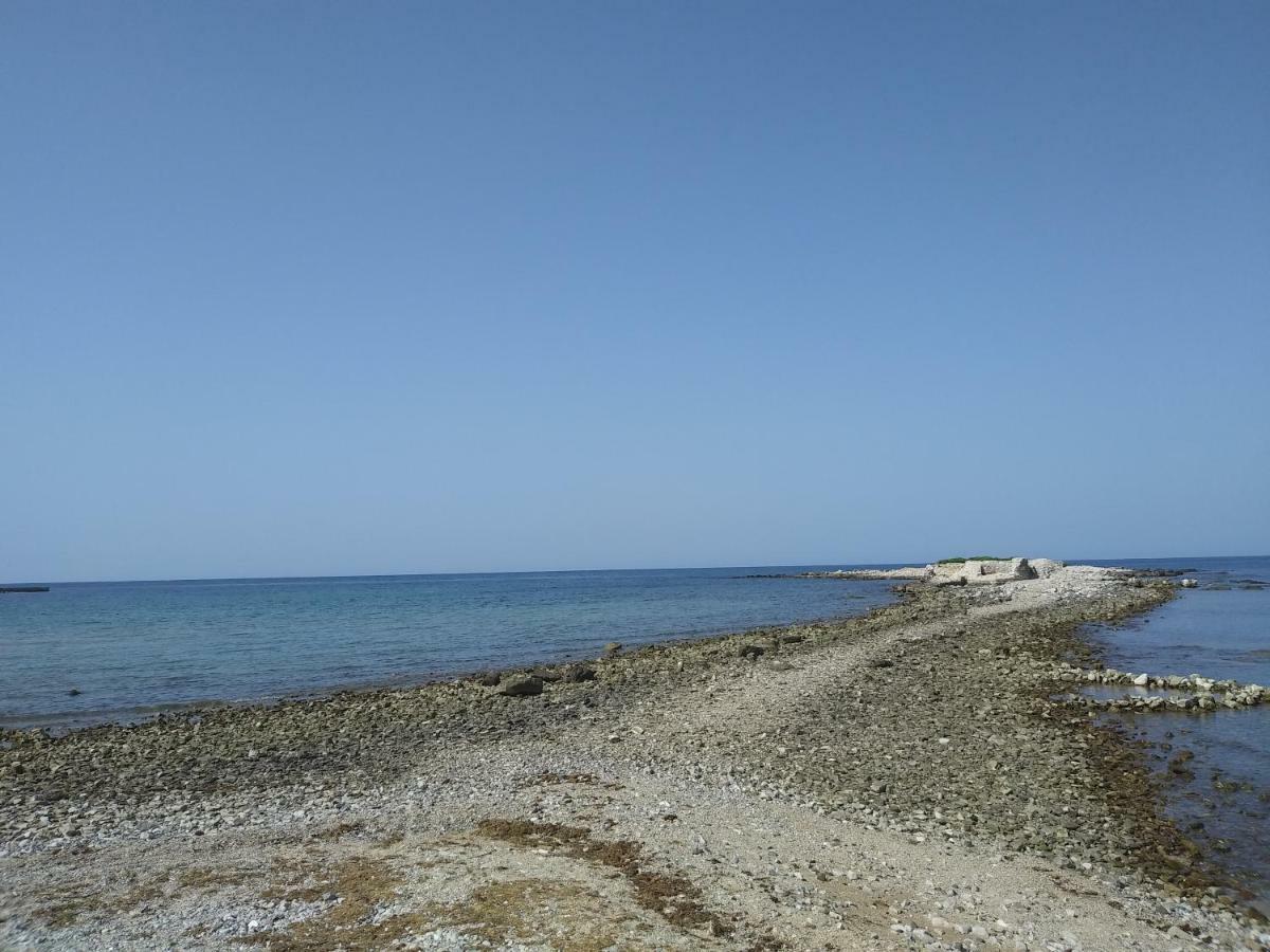 Allegria أوماغ المظهر الخارجي الصورة